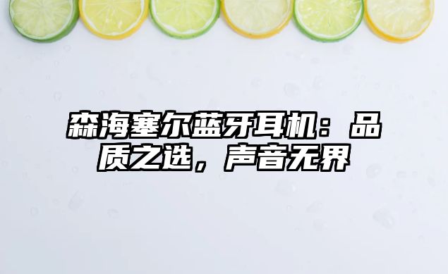 森海塞爾藍(lán)牙耳機(jī):品質(zhì)之選,聲音無界