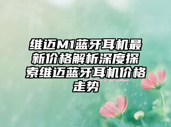 維邁M1藍牙耳機最新價格解析深度探索維邁藍牙耳機價格走勢