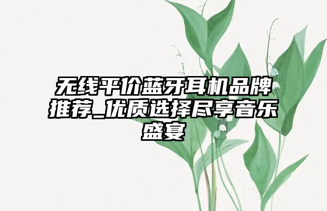 無線平價藍牙耳機品牌推薦_優(yōu)質(zhì)選擇盡享音樂盛宴