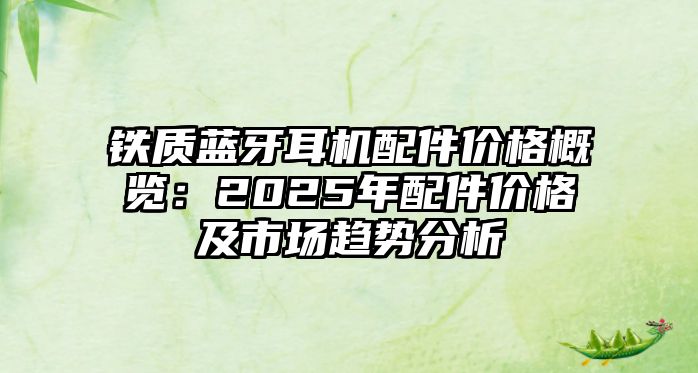 鐵質(zhì)藍牙耳機配件價格概覽：2025年配件價格及市場趨勢分析