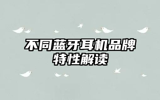 不同藍牙耳機品牌特性解讀