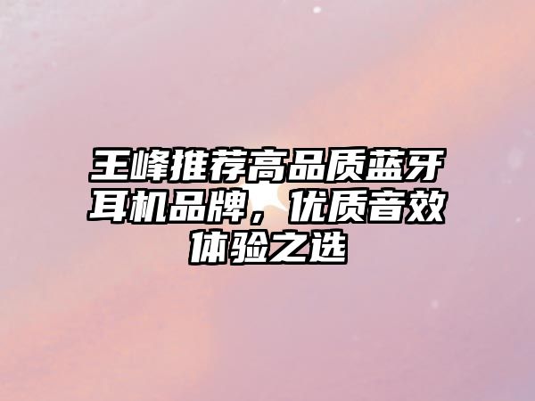 王峰推薦高品質(zhì)藍(lán)牙耳機(jī)品牌，優(yōu)質(zhì)音效體驗(yàn)之選